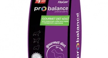 Prippl: куче храна, производител